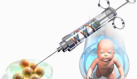 胚胎实验室